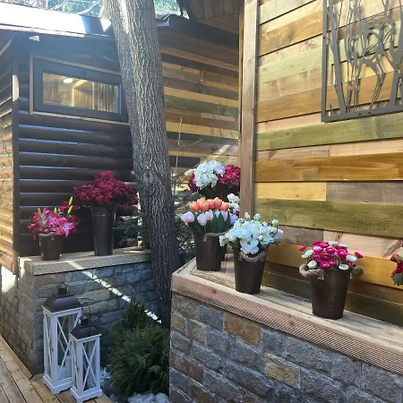 Moura & Villas Mountain Relax 4* بوروفتس